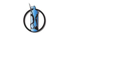 Sound Diving Plymouth