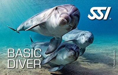 SSI Basic Diver experience in Plymouth