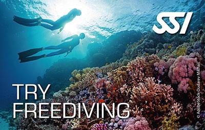 SSI Try Freediving program – discover breath-hold diving