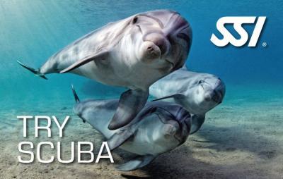 Pool introduction for SSI Try Scuba