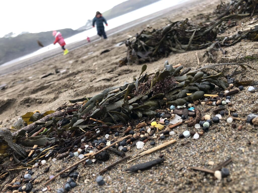 Microplastics and seaweed on the beach
