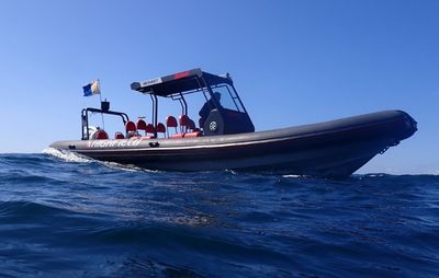 Charters and Sea Safaris