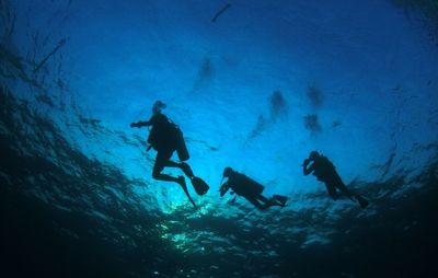 Scuba Diving