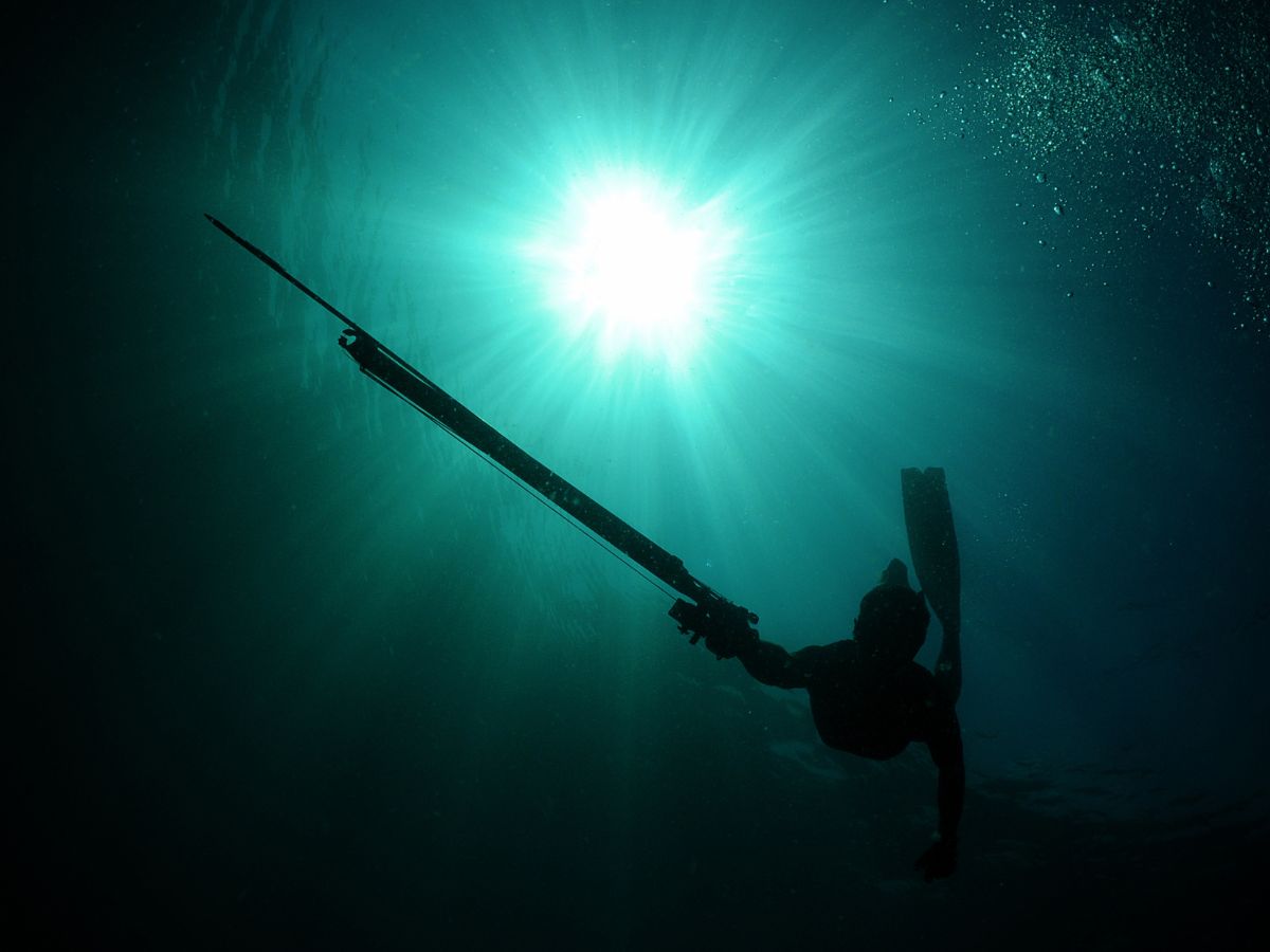 Try Spearfishing shore intro