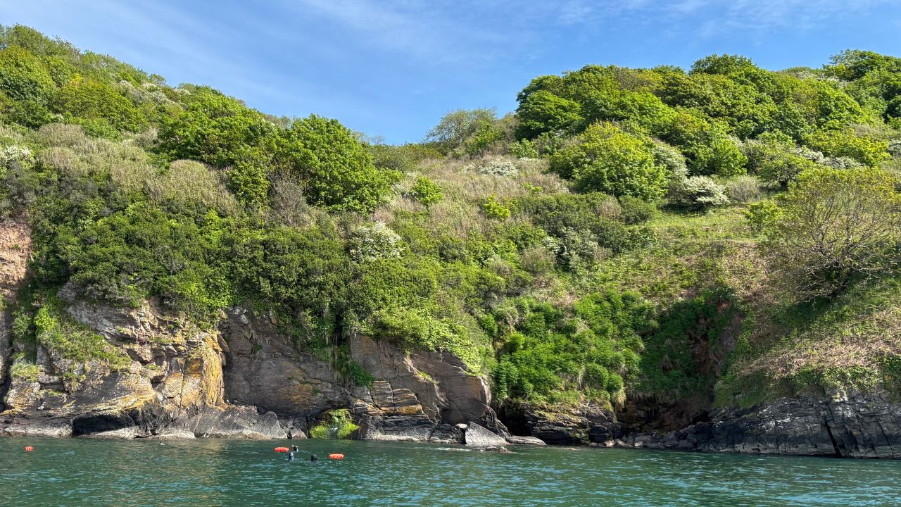 Sheltered cove snorkelling over kelp beds