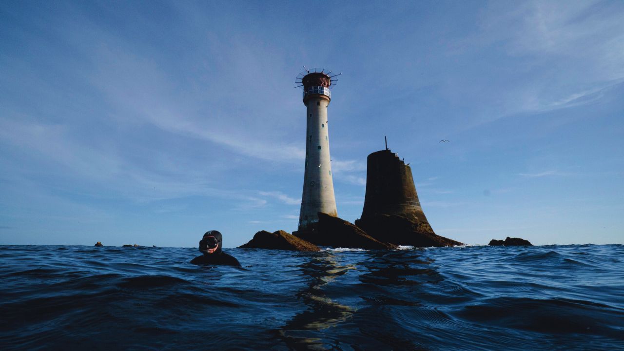 Coaching and guided spearfishing sessions in Plymouth