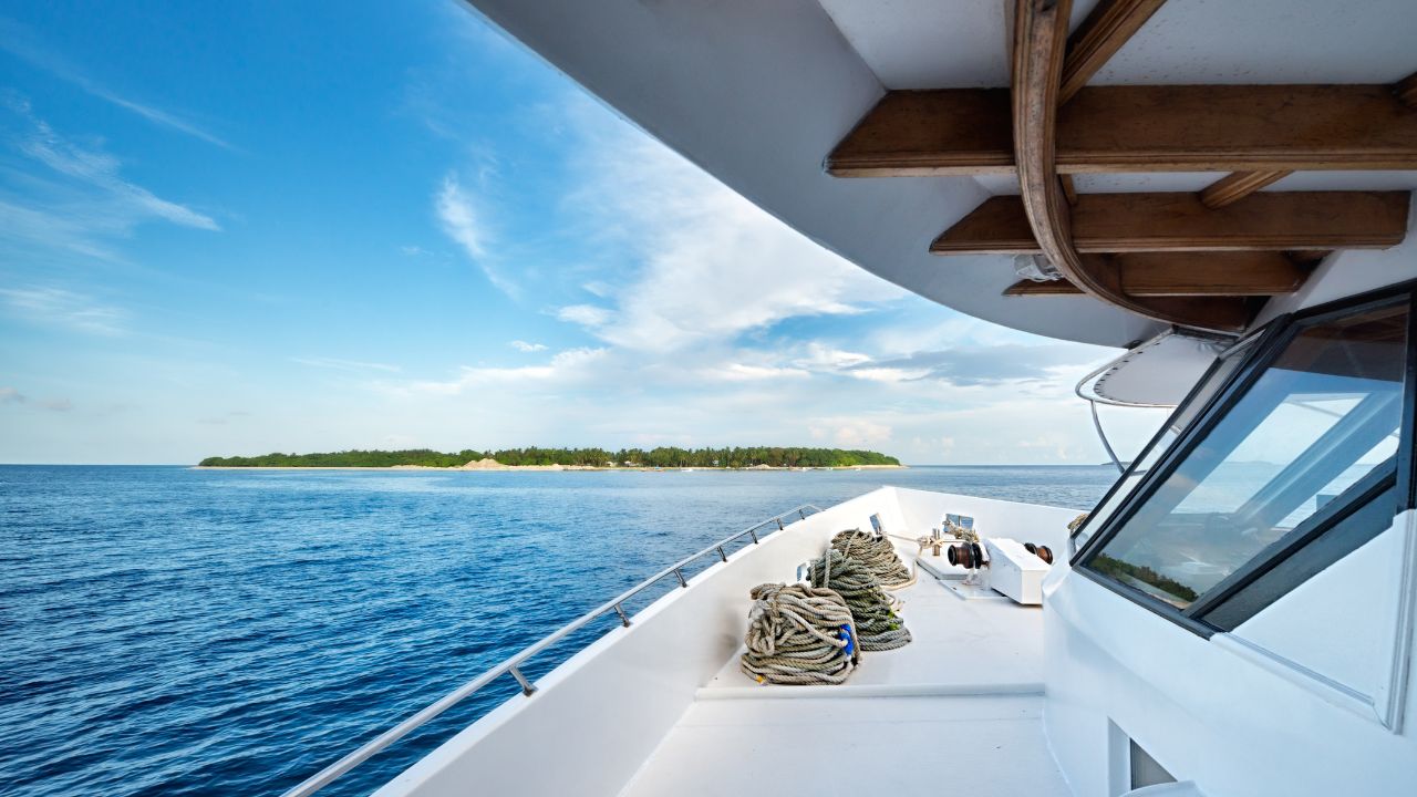 Dive holidays and liveaboards – UK, Europe and Red Sea trips