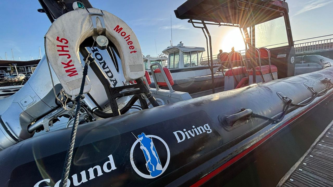 XR RIB DIVE