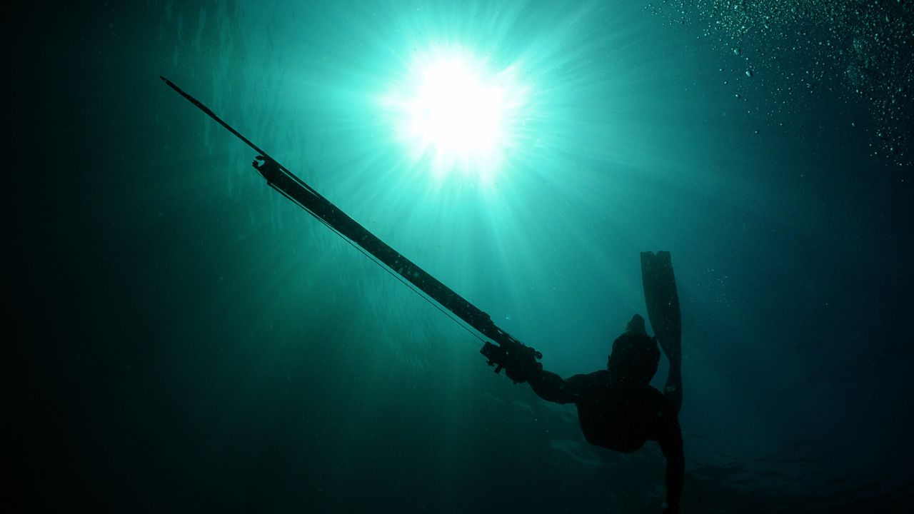 Level 1 spearfishing student at the shore