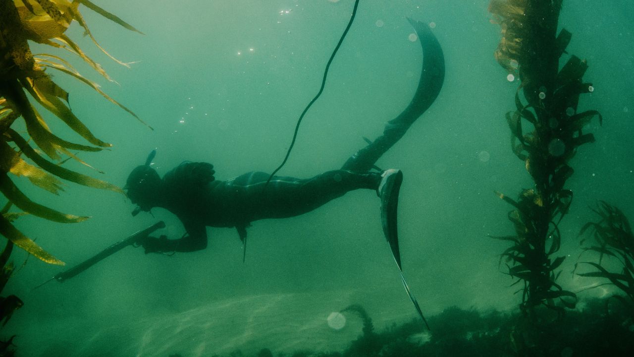 Advanced Spearfishing course