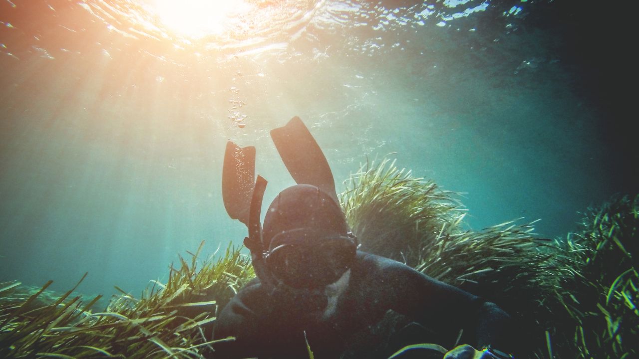 Advanced spearfishing course in open water