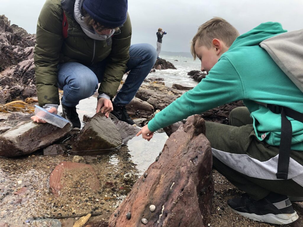 Rockpooling module – hands‑on seashore species ID