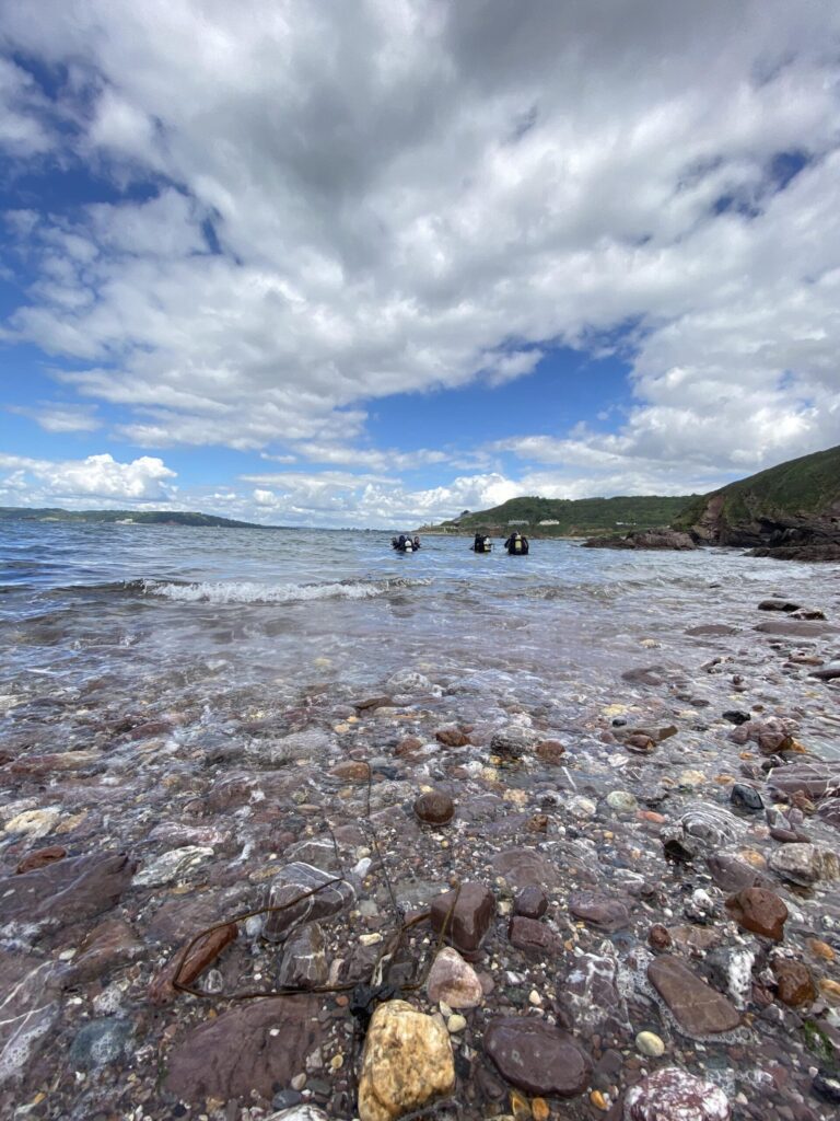 Strandline discovery – shoreline exploration and beach clean